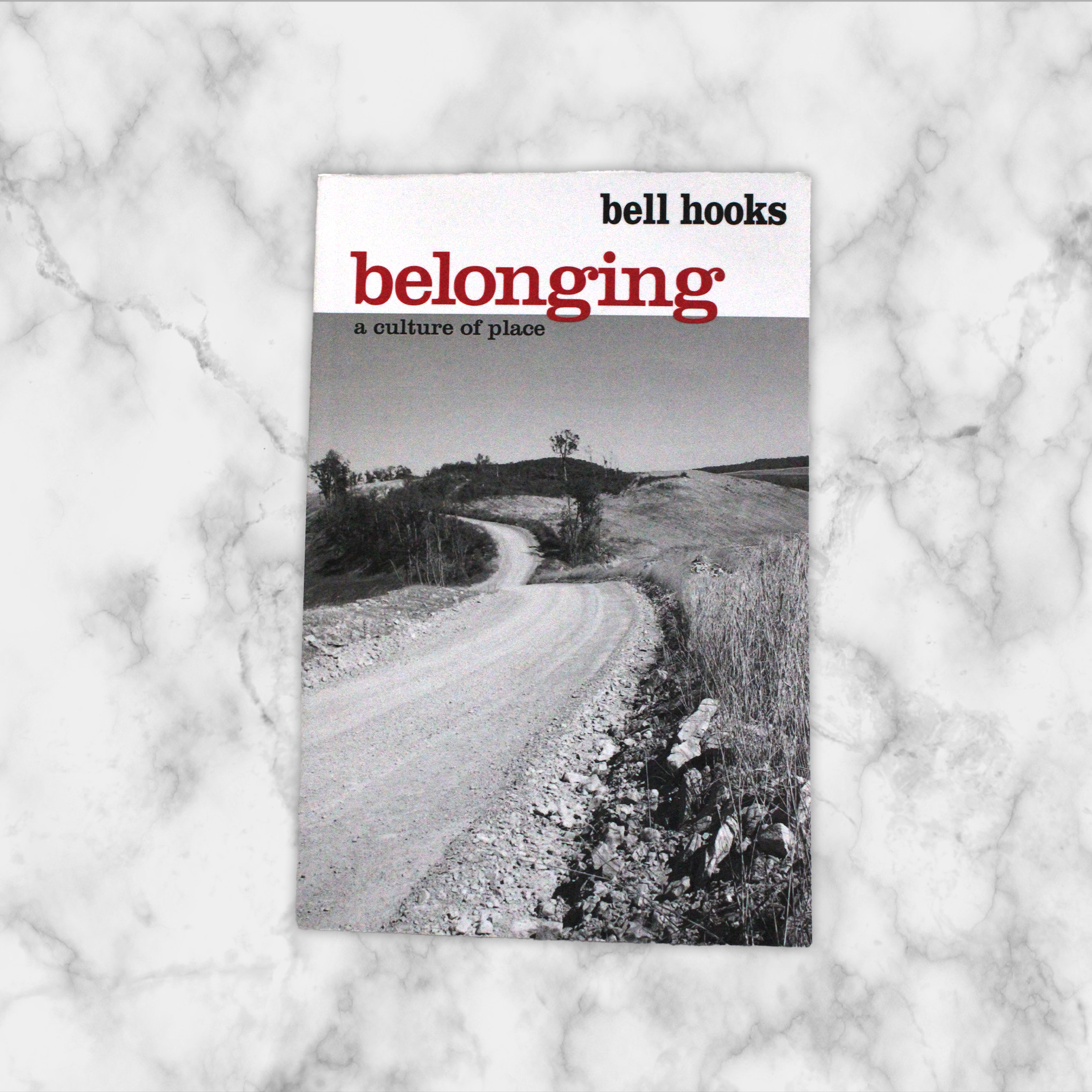 Belonging a Culture of Place.png