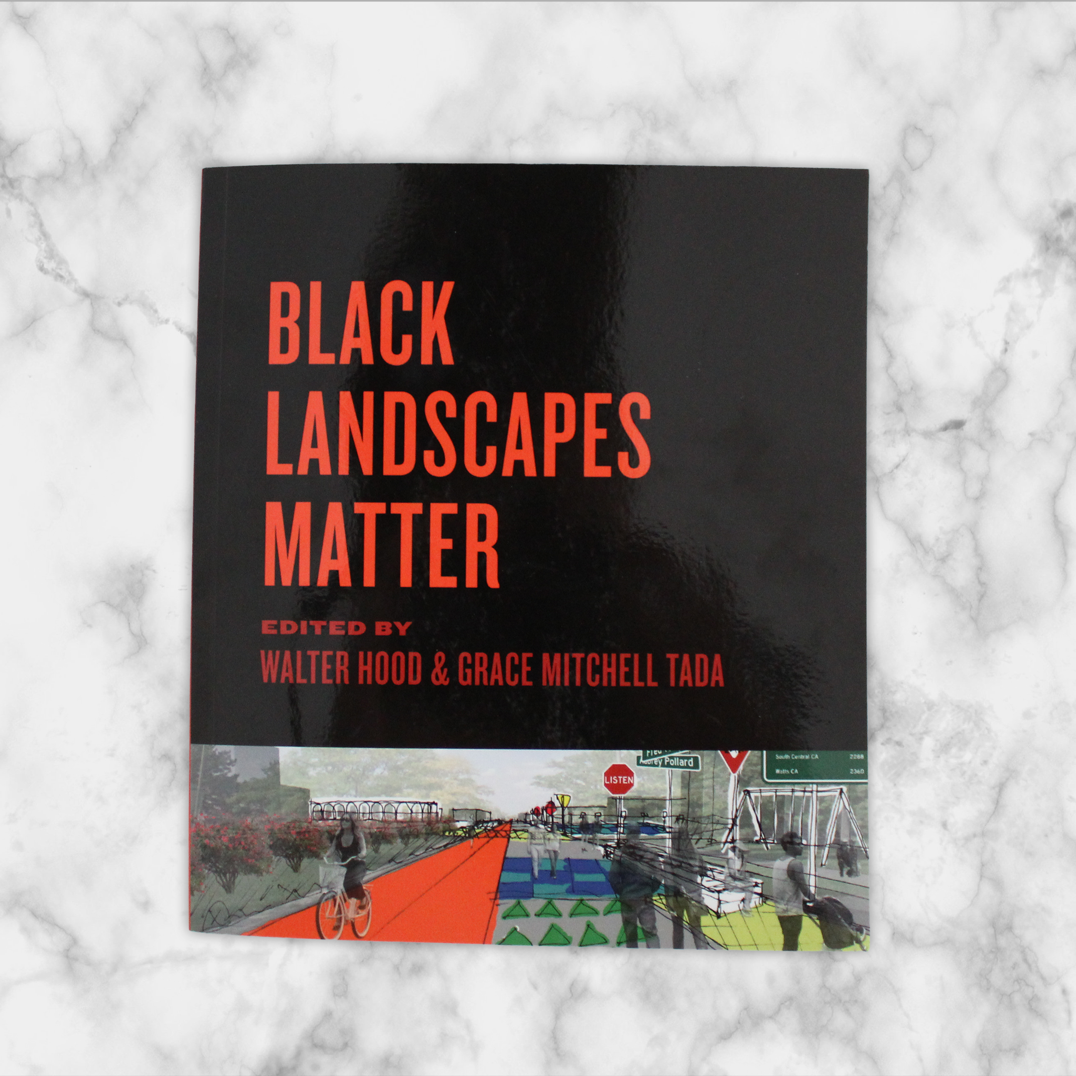 Black Landscapes Matter.png