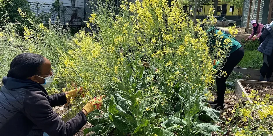 Care: Gardening and Art Workshop with Monica Jahan Bose