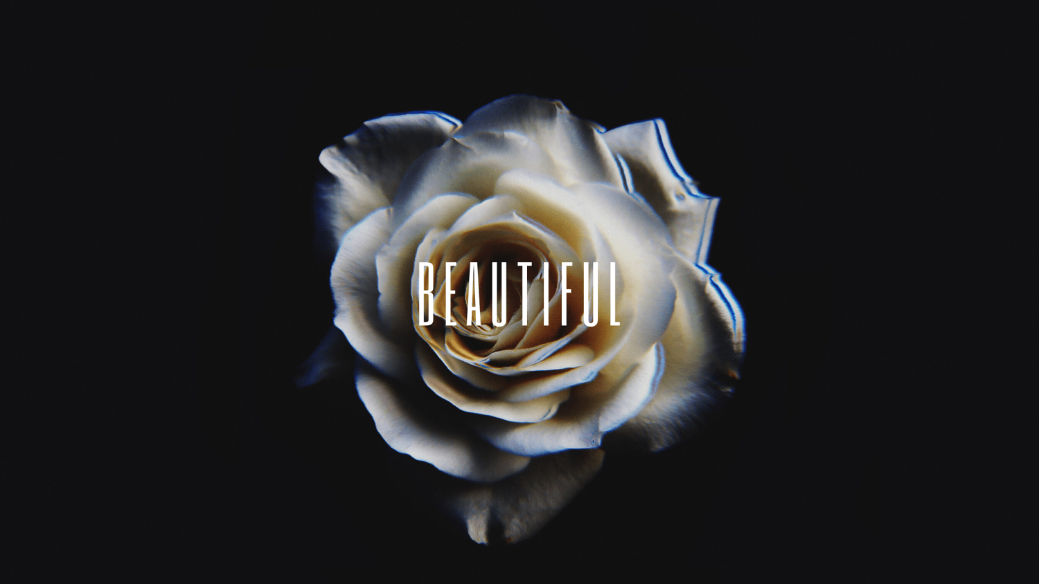Beautiful Presence // 05.10.20 episode artwork