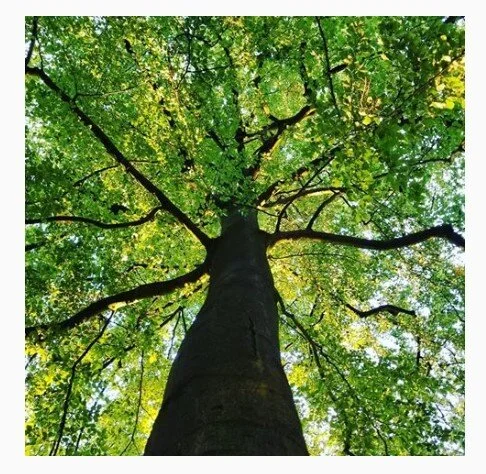 ad image 1.jpg