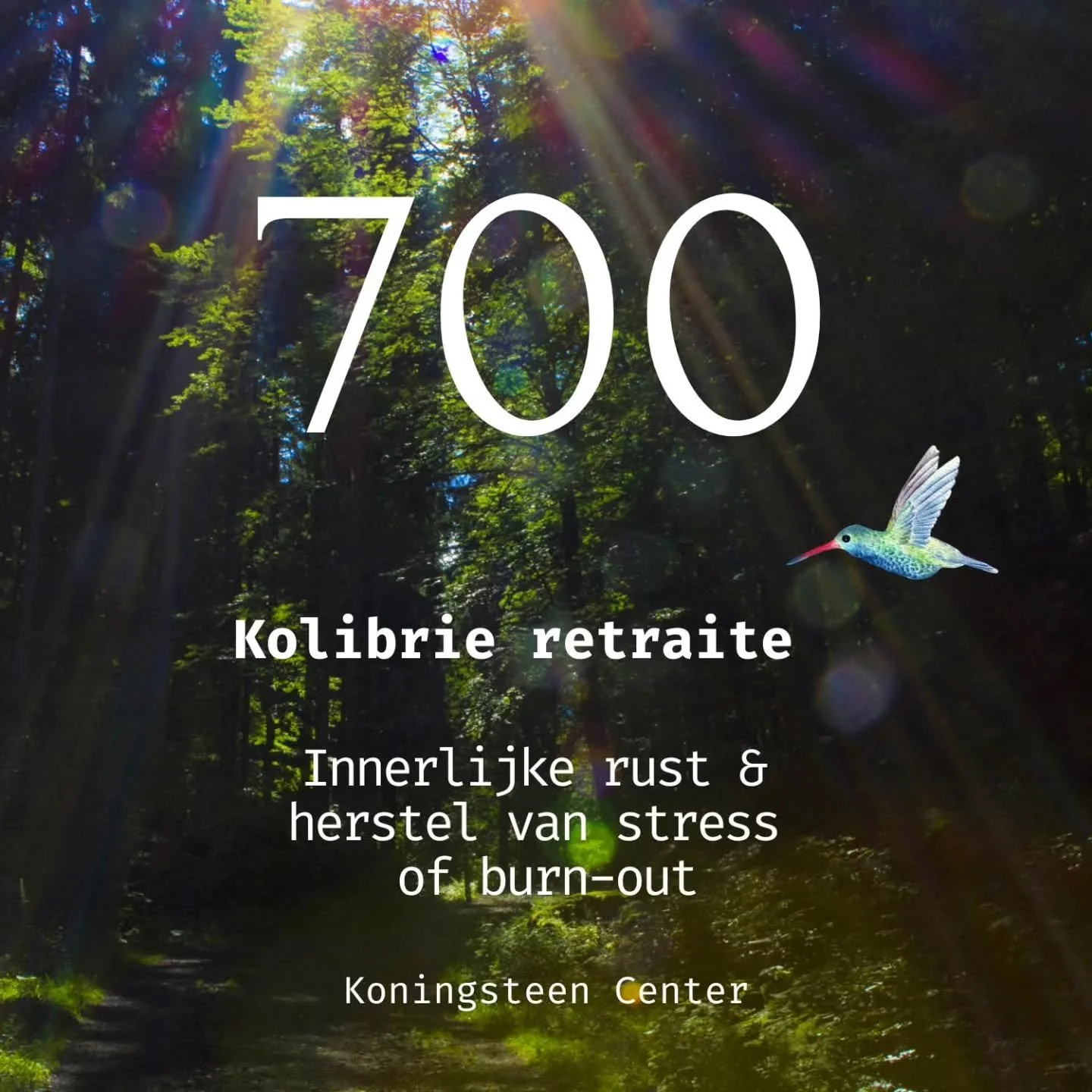 Meer dan 700 mensen vonden al hun weg naar innerlijke rust en verbinding tijdens de Kolibrie retraites hier op Koningsteen. Iedere deelnemer bracht zijn of haar unieke verhaal mee, en telkens opnieuw ontstond er een plek van helderheid, warmte en thu