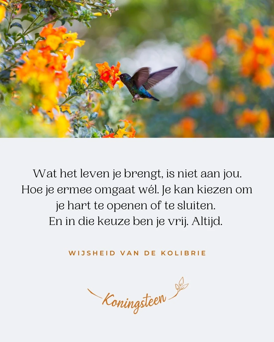 "Wat het leven je brengt, is niet aan jou. Hoe je ermee omgaat w&eacute;l. Je kan kiezen om je hart te openen of te sluiten. En in die keuze ben je vrij. Altijd." (Wijsheid van de Kolibrie)

Het vraagt moed om je hart te openen, juist wanne