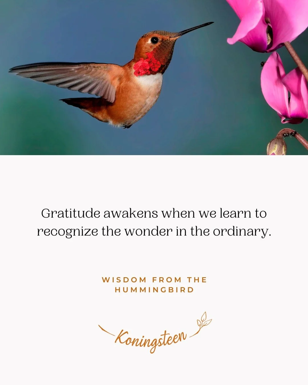 Gratitude arises when we consciously learn to pause again for the small things in life. The things we so often take for granted: the morning light through the window, a gentle touch, a meaningful glance, a connecting nod, your breath quietly carrying