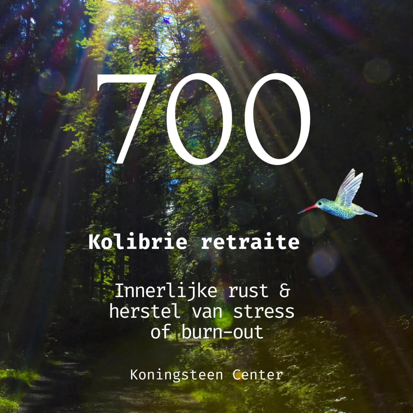 Meer dan 700 mensen vonden al hun weg naar innerlijke rust en verbinding tijdens de Kolibrie retraites hier op Koningsteen. Iedere deelnemer bracht zijn of haar unieke verhaal mee, en telkens opnieuw ontstond er een plek van helderheid, warmte en thu