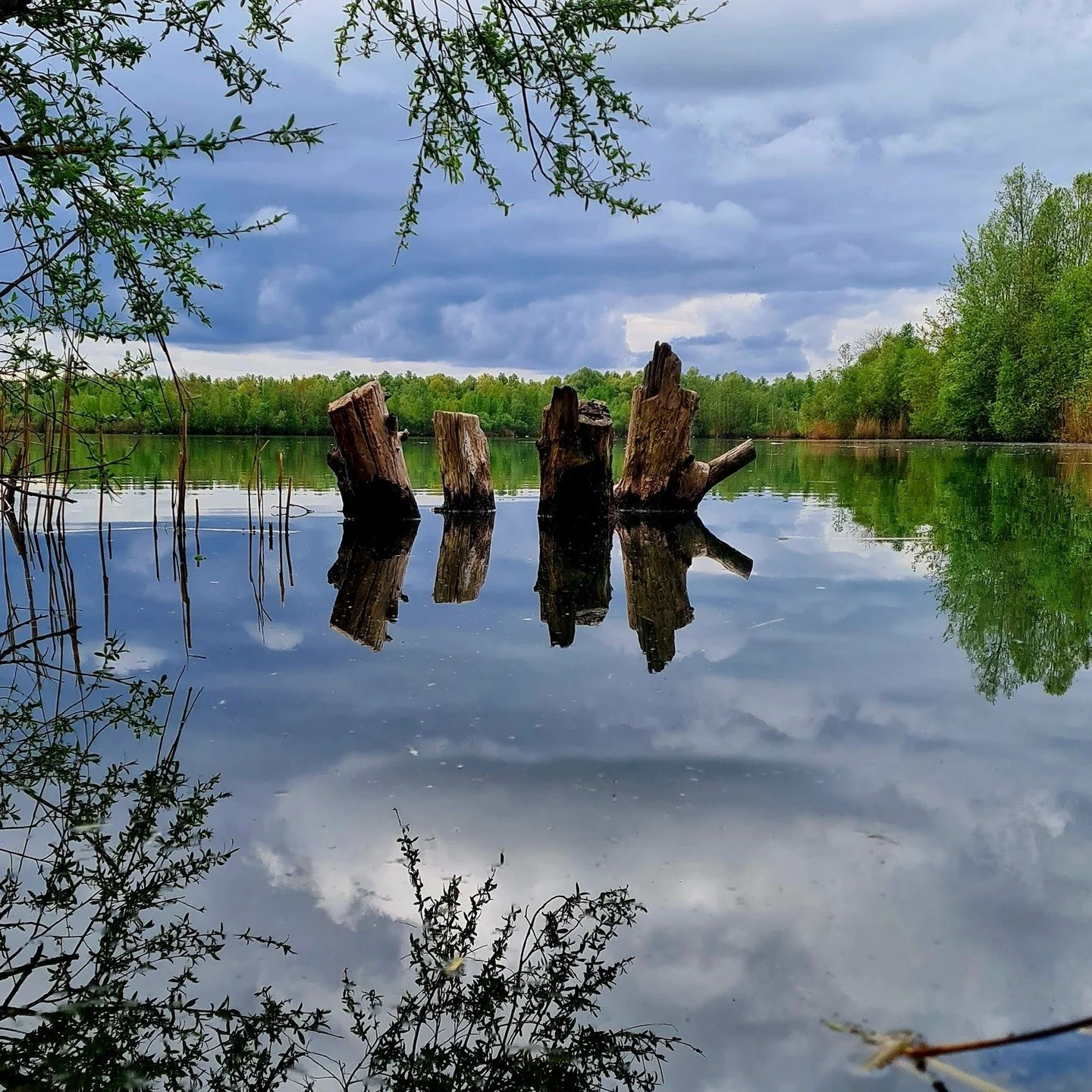 We leven in een wereld die ons voortdurend naar buiten trekt &ndash; naar prikkels, meningen, verwachtingen en drama. We rennen vaak door het leven, gefocust op wat er buiten ons gebeurt &ndash; onze relaties, ons werk, sociale media, de wereld om on