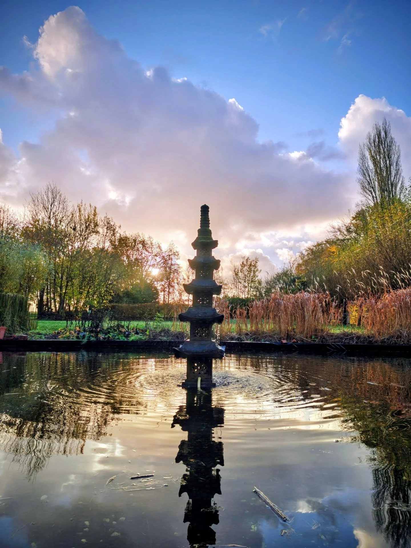 We zijn opnieuw van start gegaan met een nieuwe Kolibrie-retraite. Een uitnodiging om te ontdekken dat het pad naar rust, liefde en helderheid niet buiten loopt, maar naar binnen. Welkom aan iedereen die deze week het pad van de kolibrie mee bewandel