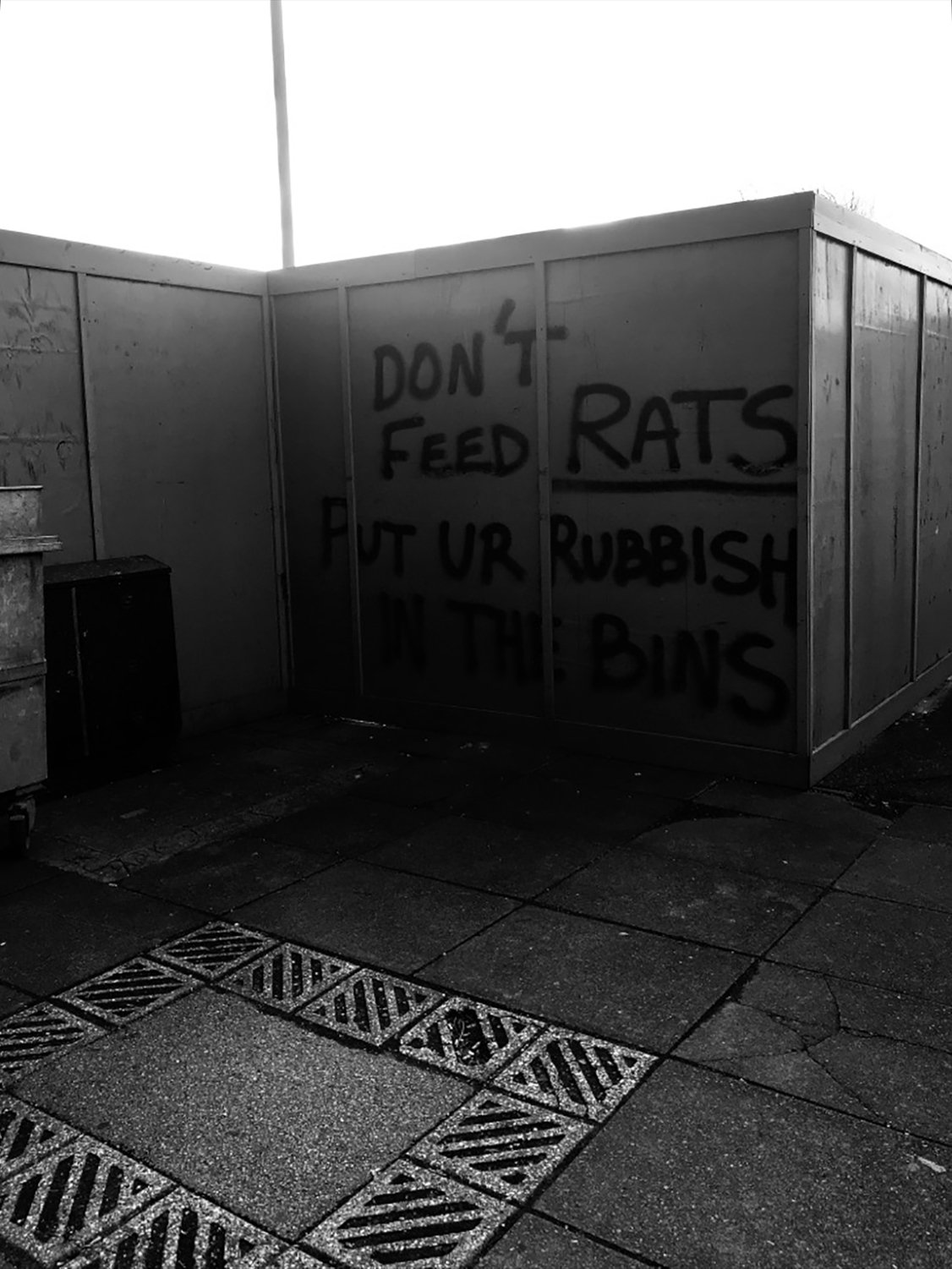 no rubbish rats.jpg