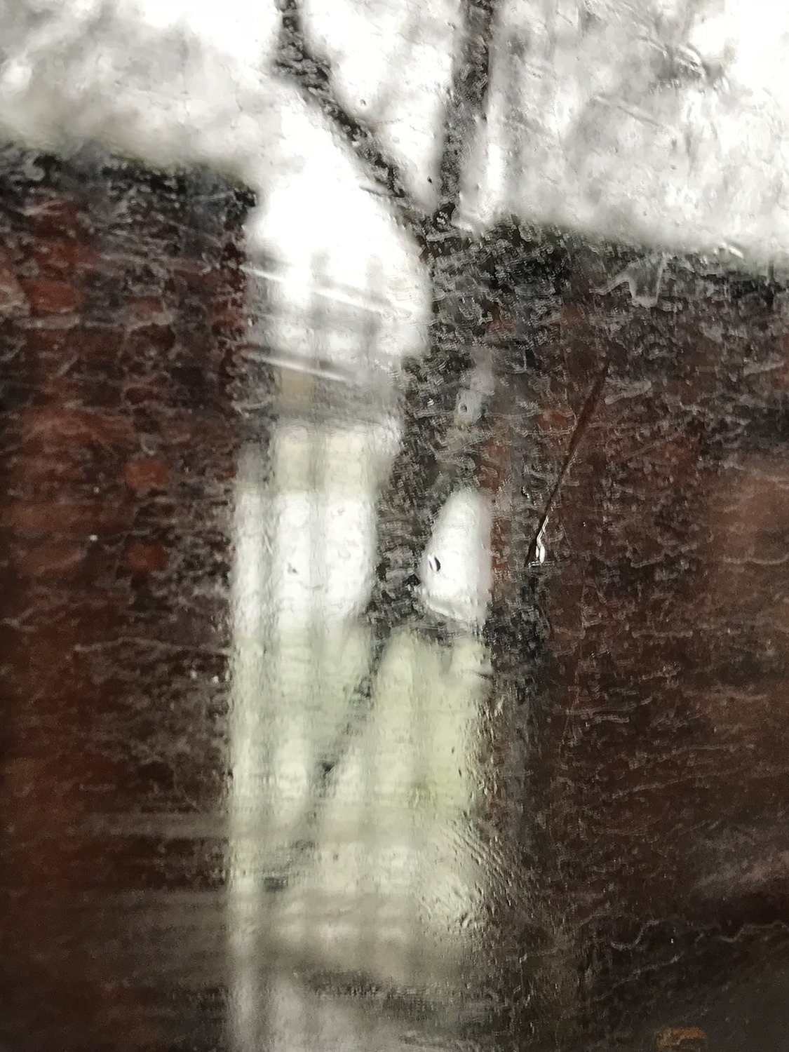 snow bus window.jpg