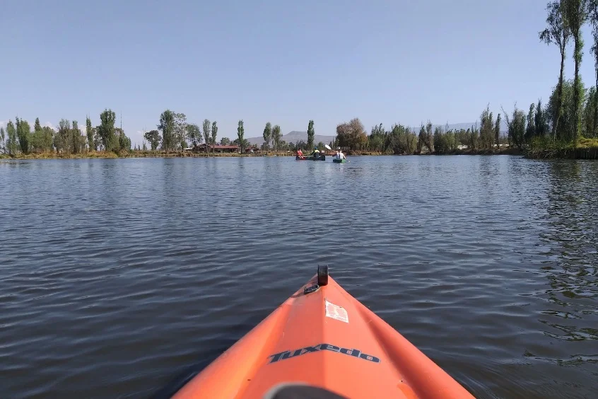 Del manglar a la playa