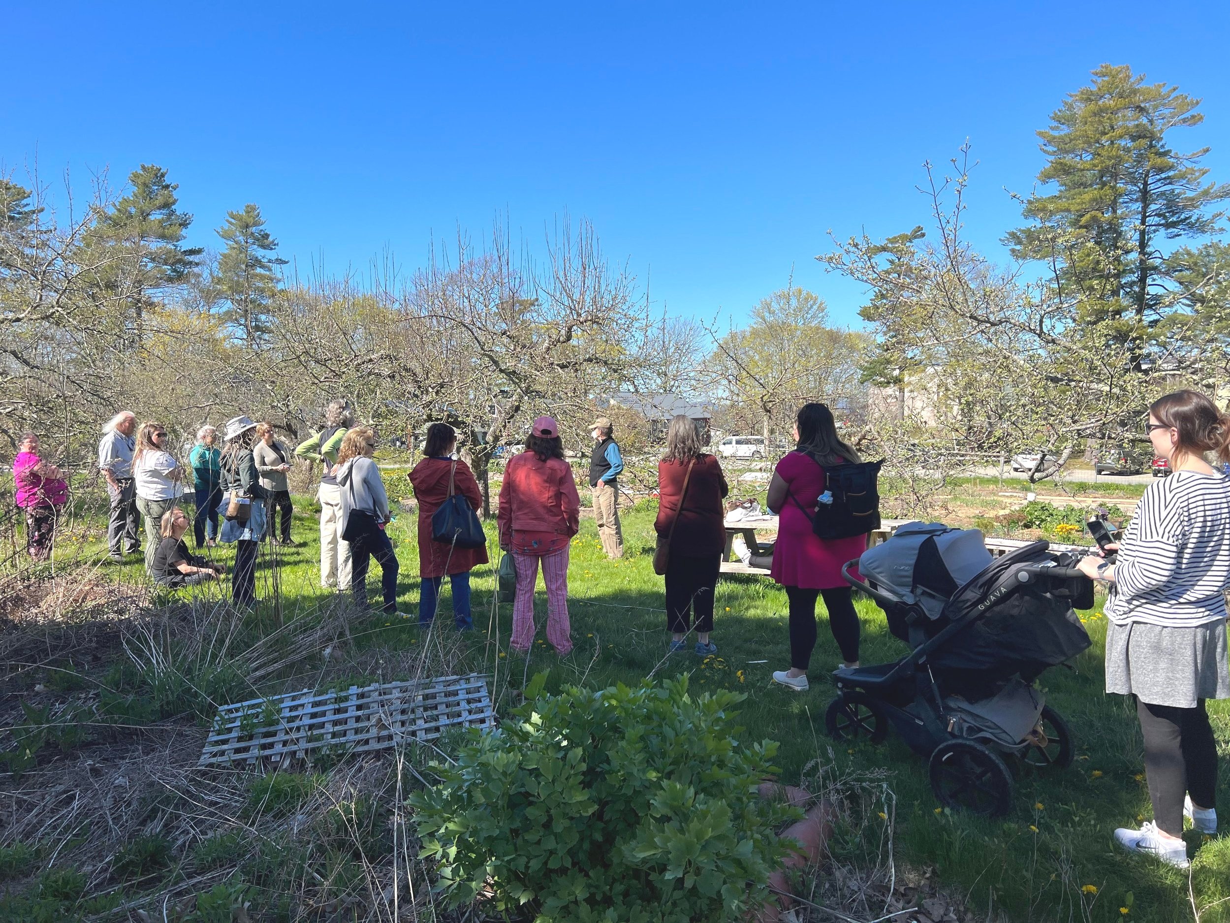 College of the Atlantic Garden Tour