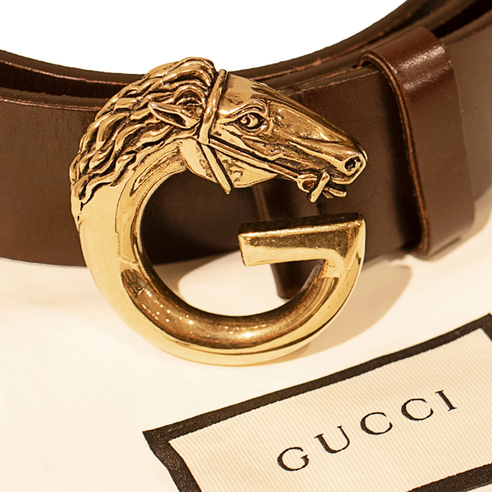 GucciBelt3.jpg