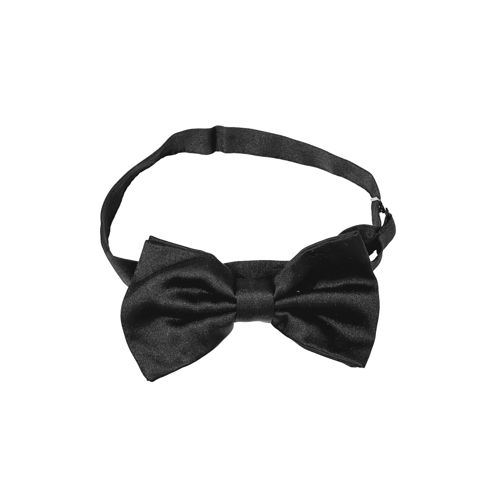 Dolce & Gabbana Fliege