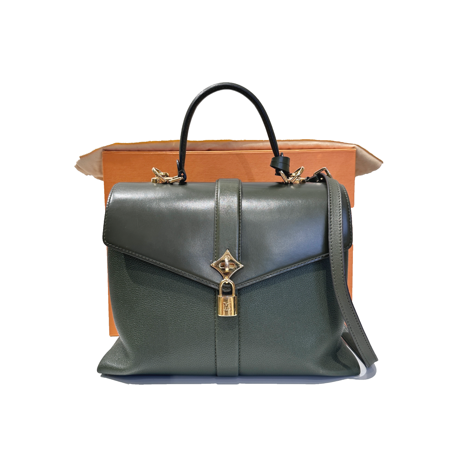 Louis Vuitton Rose des Vents Bag