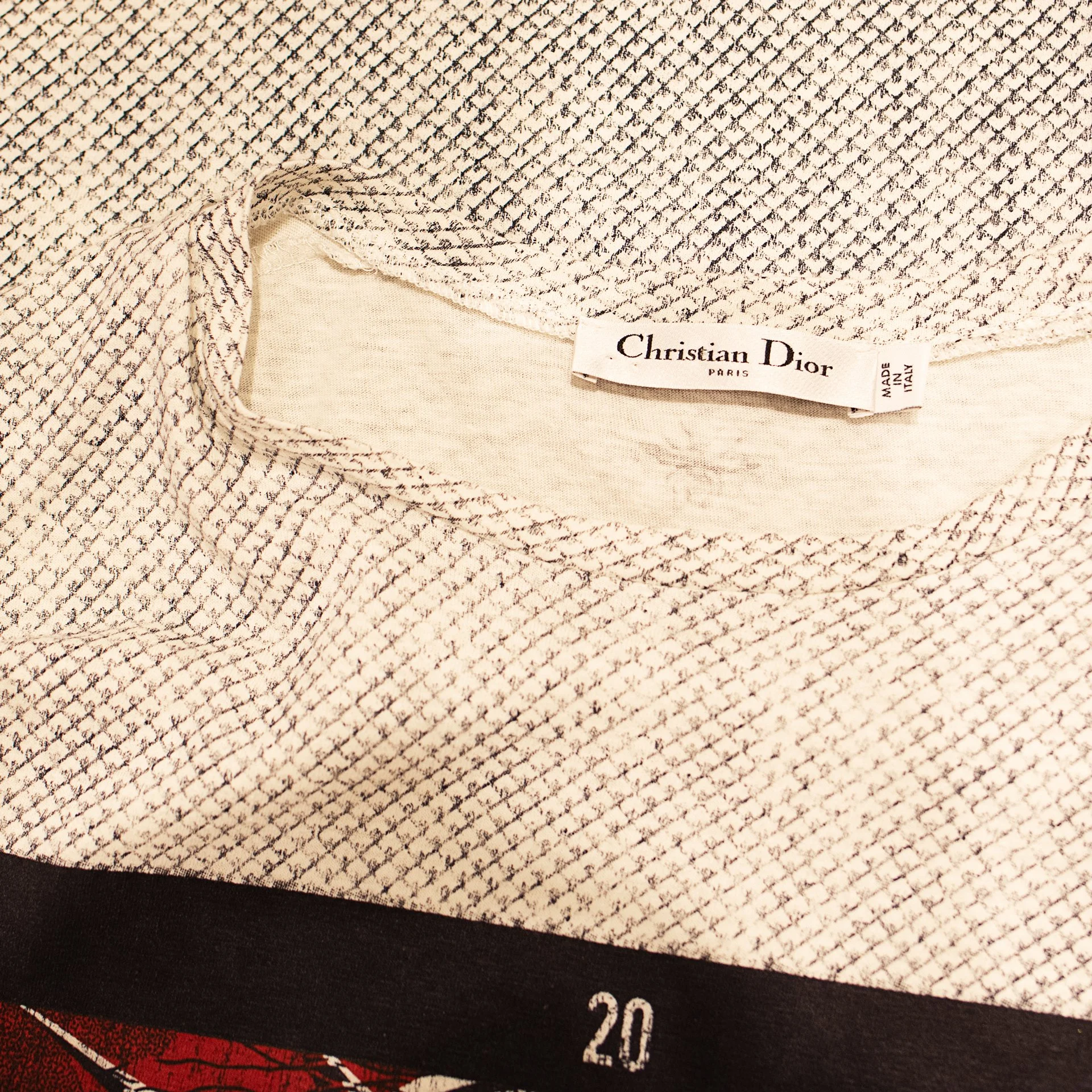 DiorTshirt6.jpg
