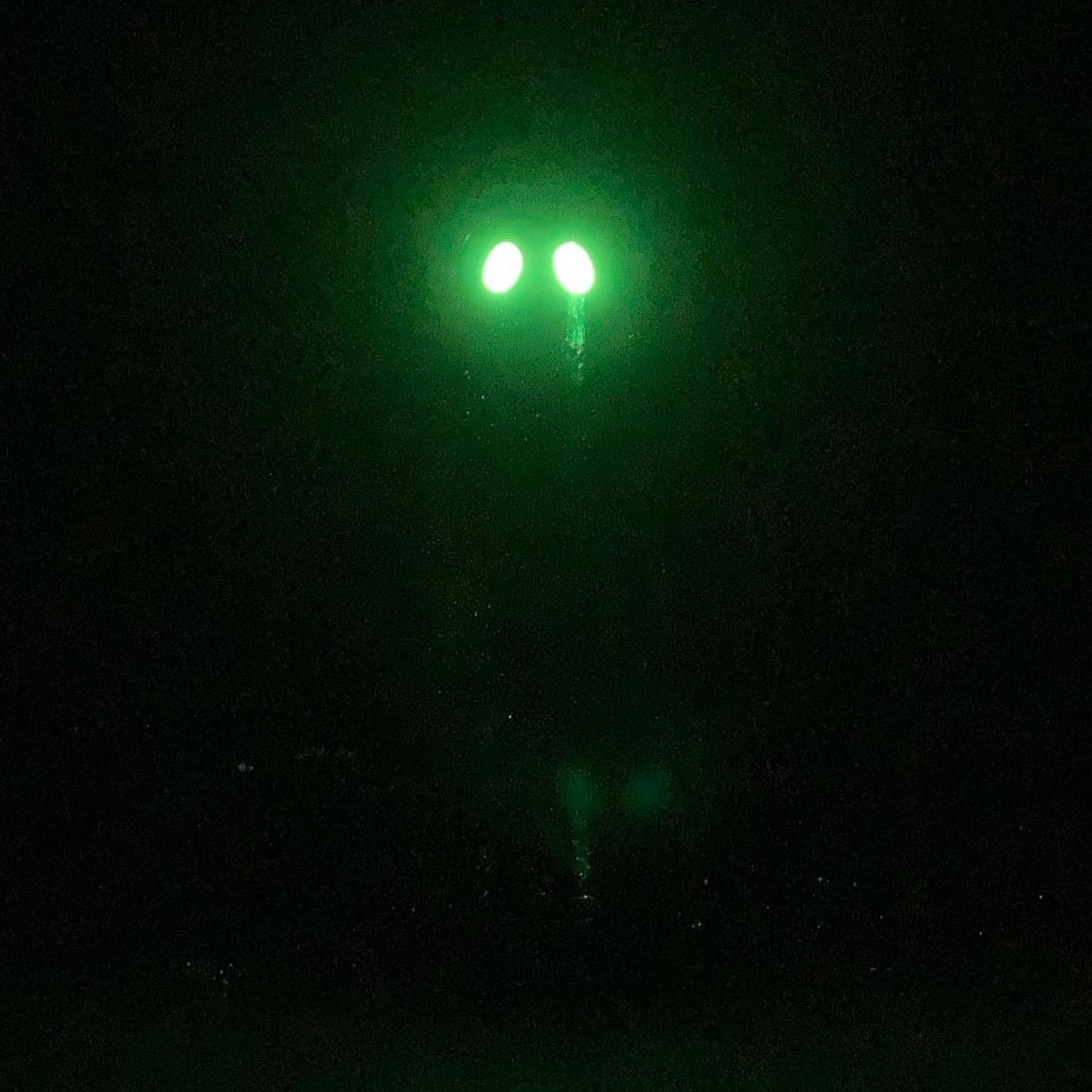 The October Phantom 3.jpg