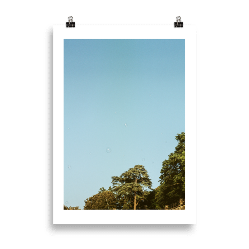 RP_WFS_004 Product Image.png