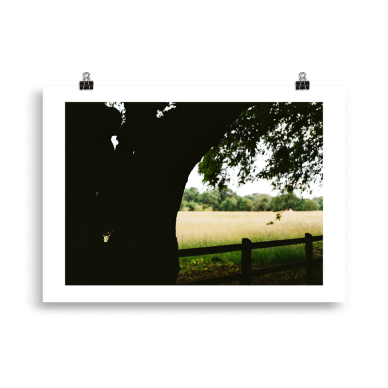 RP_WFS_002 Product Image.png