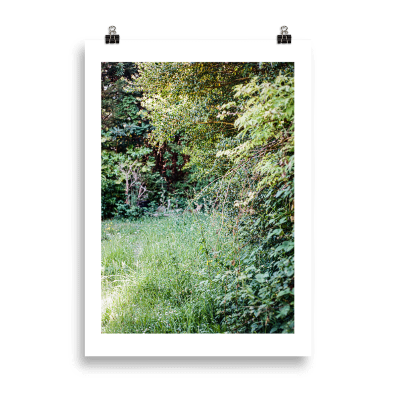 RP_WFS_001 Product Image.png