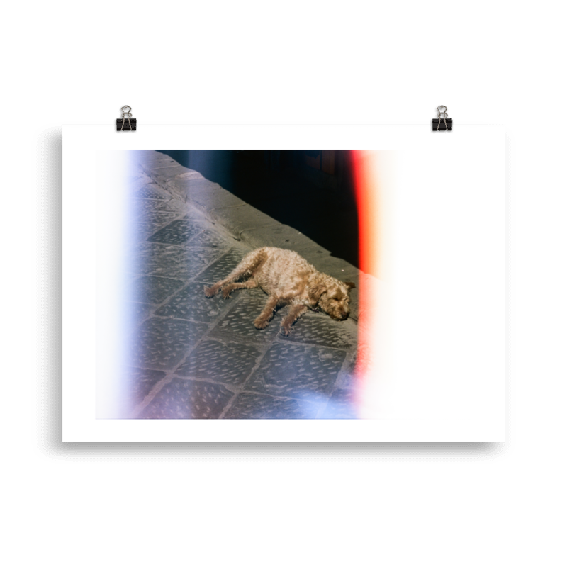 RP_WIB_002 Product Image.png