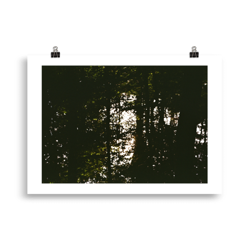 RP_WFS_003 Product Image.png