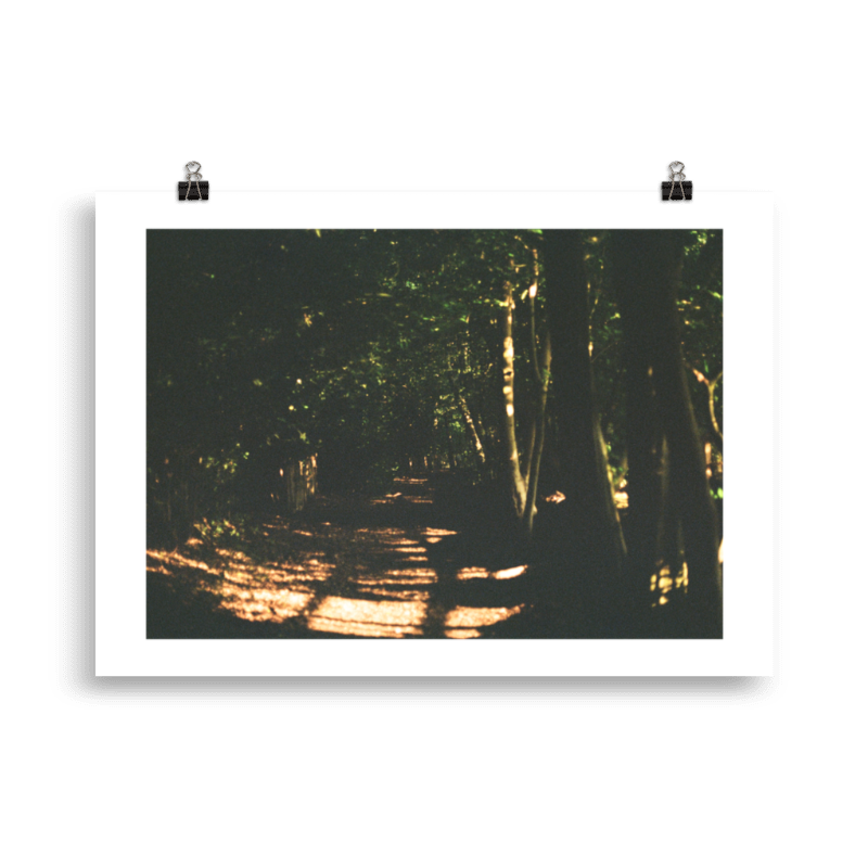 RP_WFS_008 Product Image.png