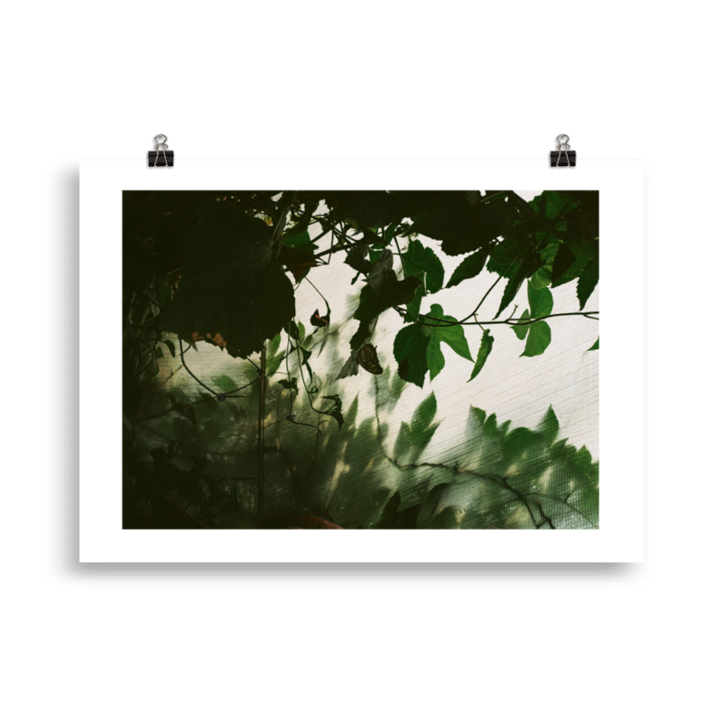 RP_WFS_006 Product Image.png