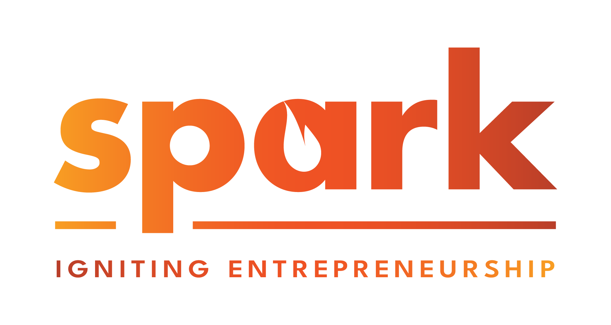 Spark, nonprofit entrepreneur support organization