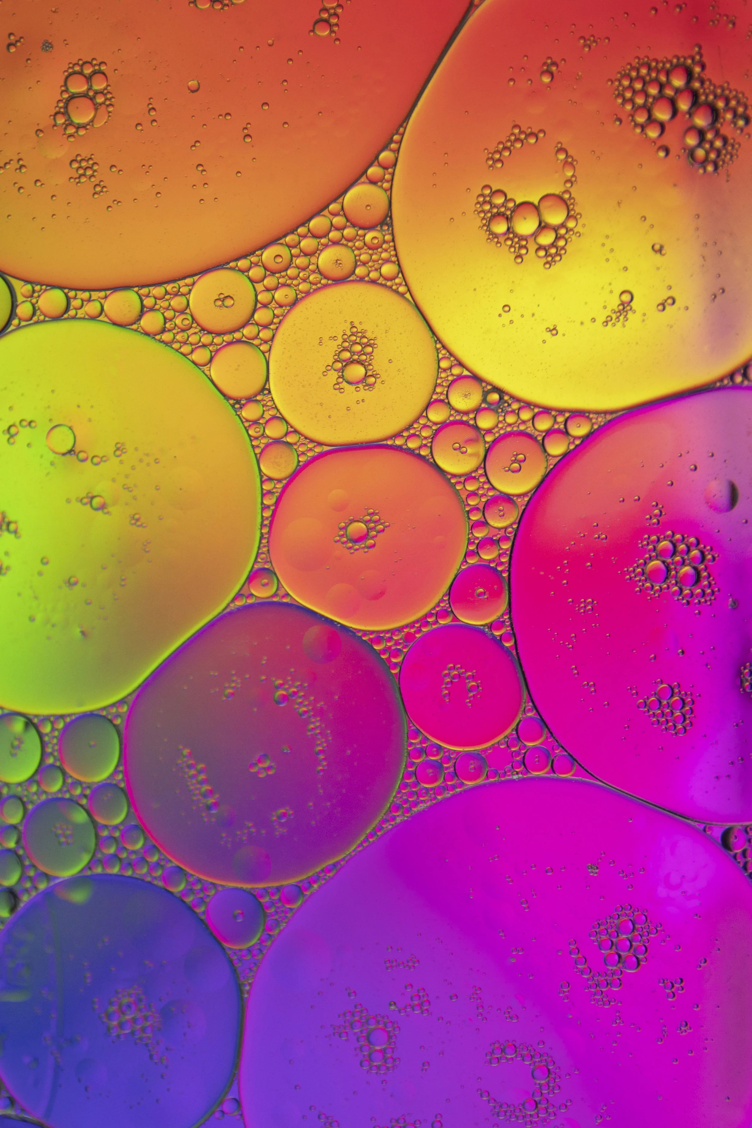 mind: how to master your career through psychology with rosana corbacho