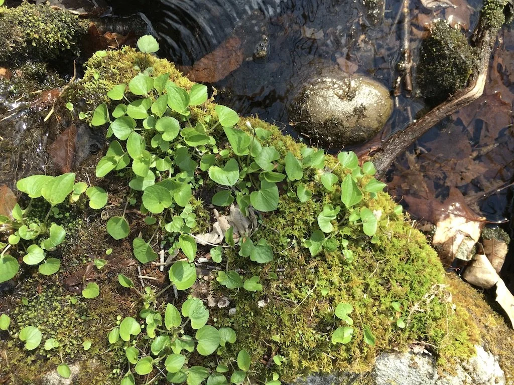 Part 4: My Moment of Truth