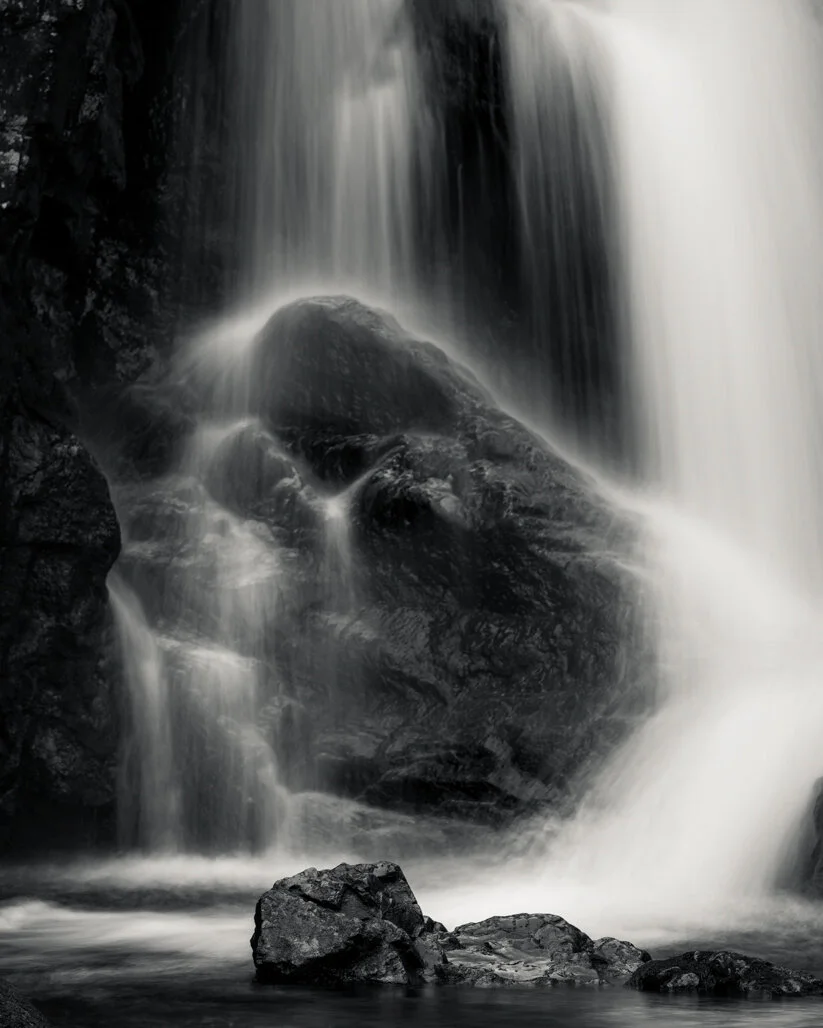 MP4_5016edit1web.jpg
