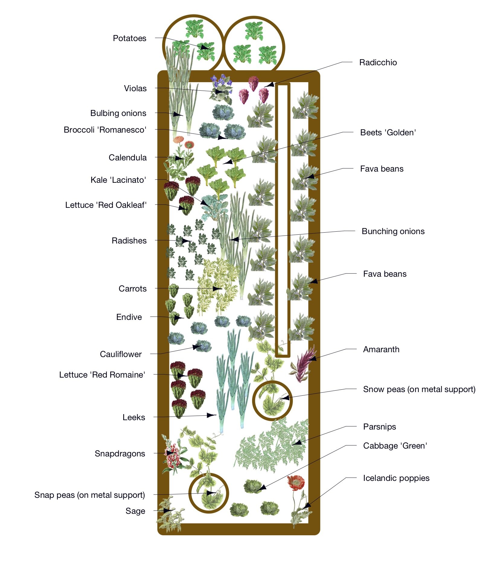 Devon Curry Veggie Plan.jpg