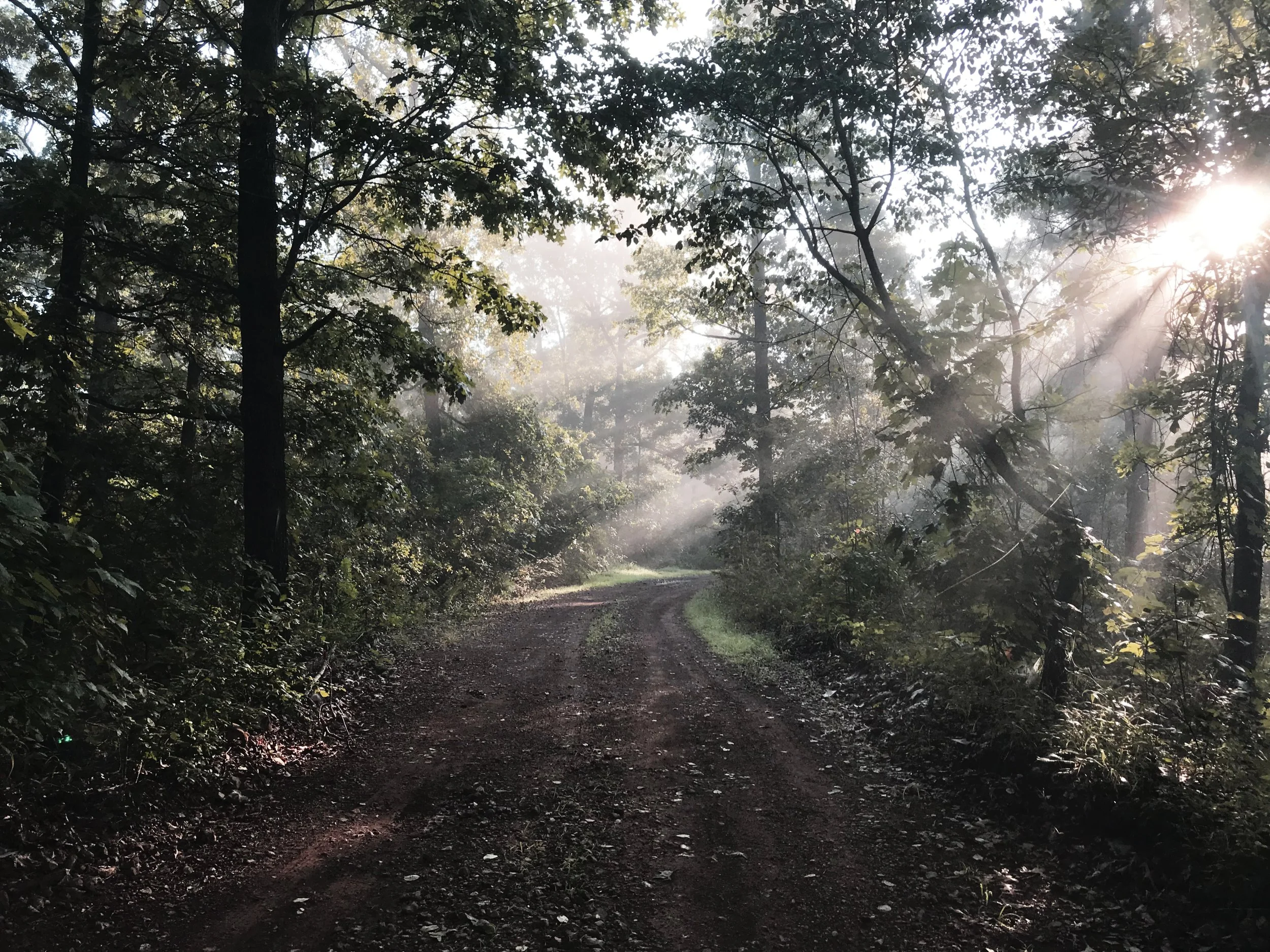 OzarkRoad.jpg