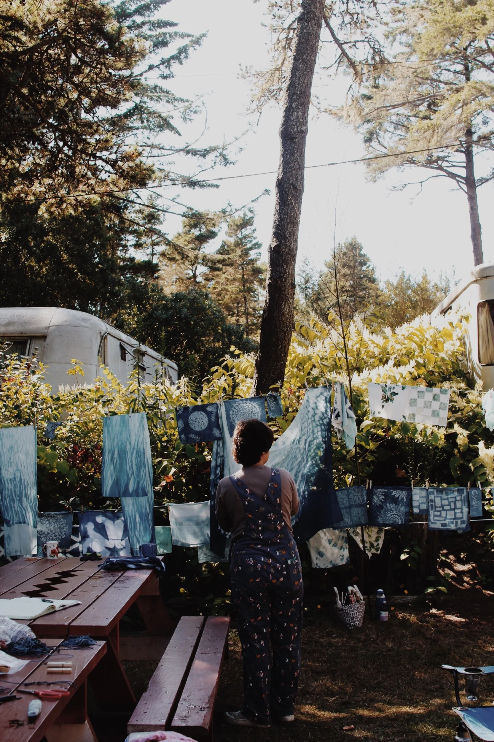 318B3294-9892-4C53-A2C9-E1CEFF68595F