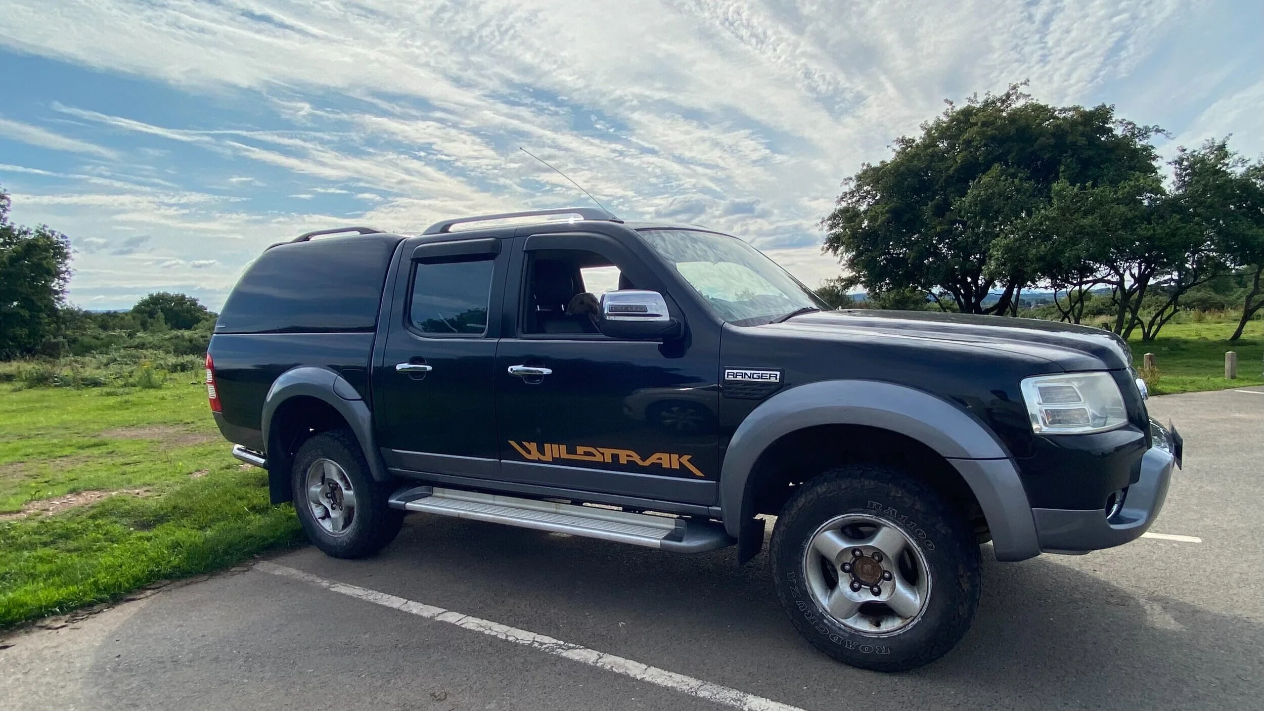 Quinn Campbell - Rowdy