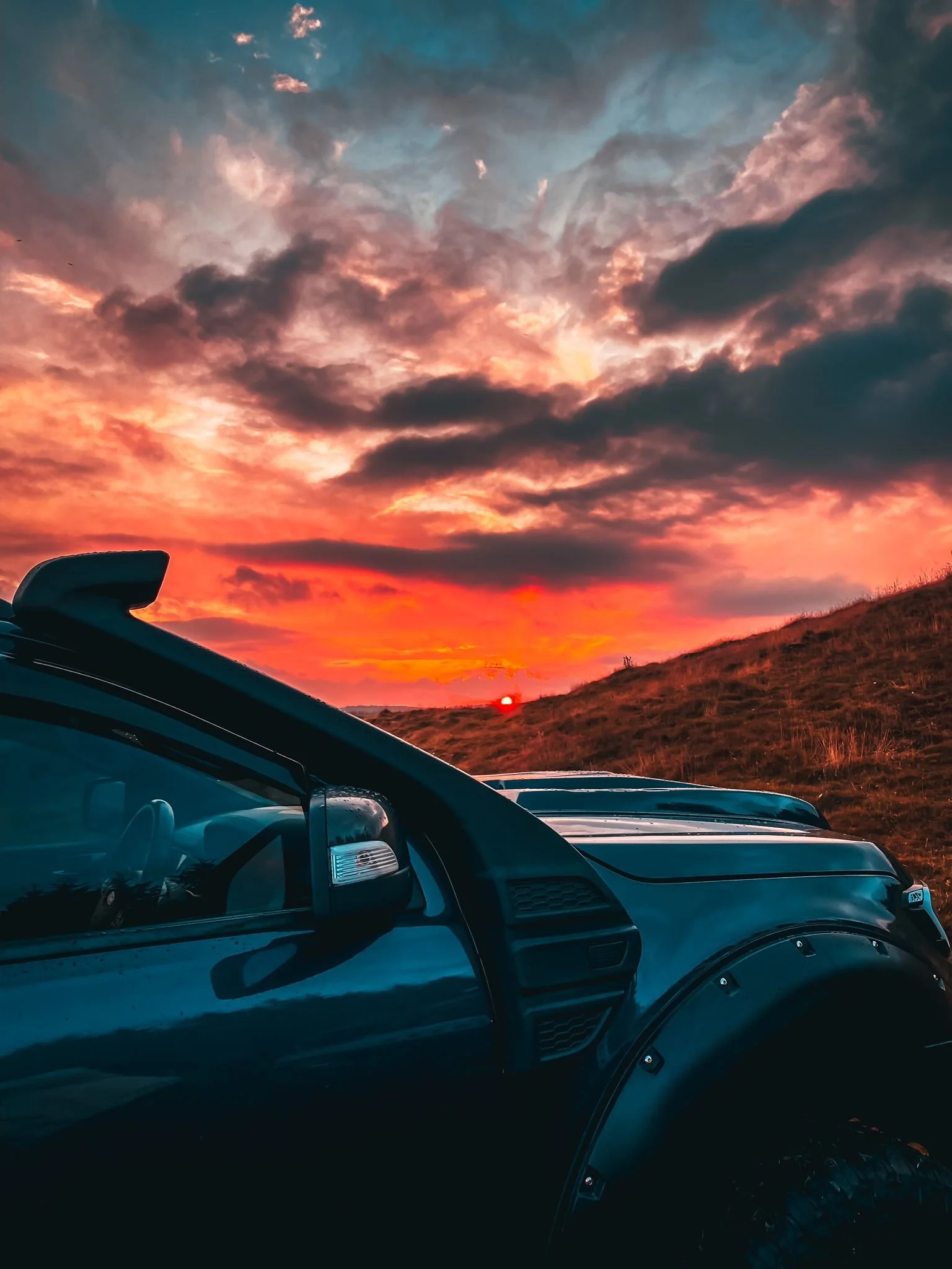 Michael Taylor - Wildtrex