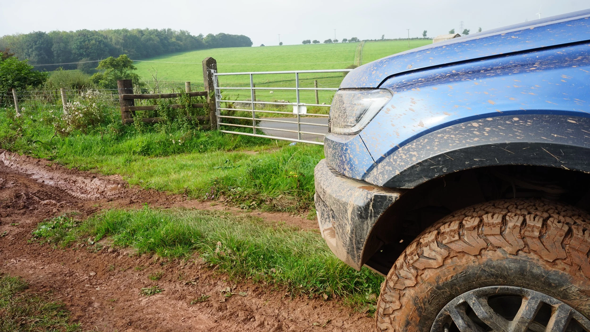 Richard Webster - Blue