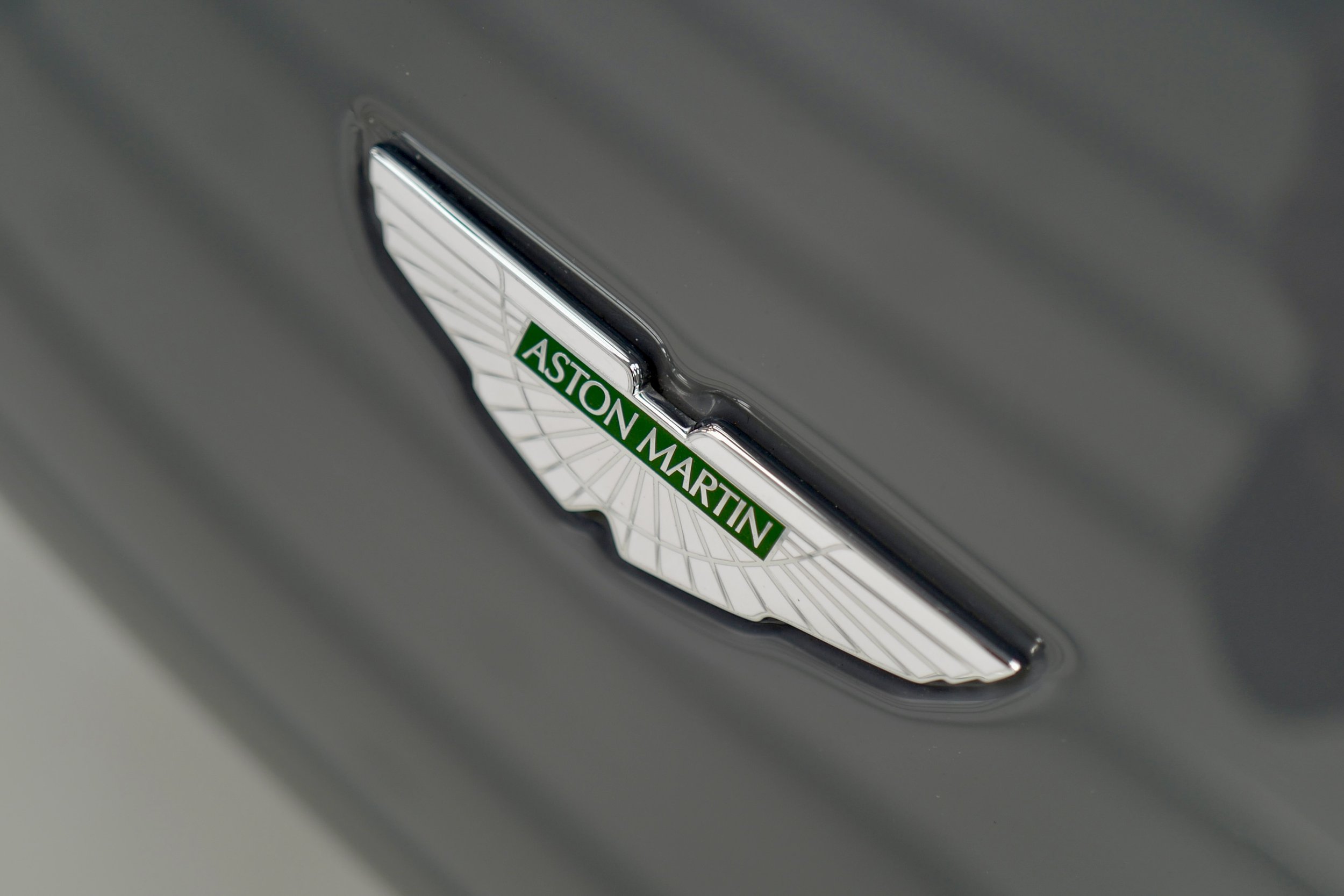 12. - V8 V S Aston badge.JPG