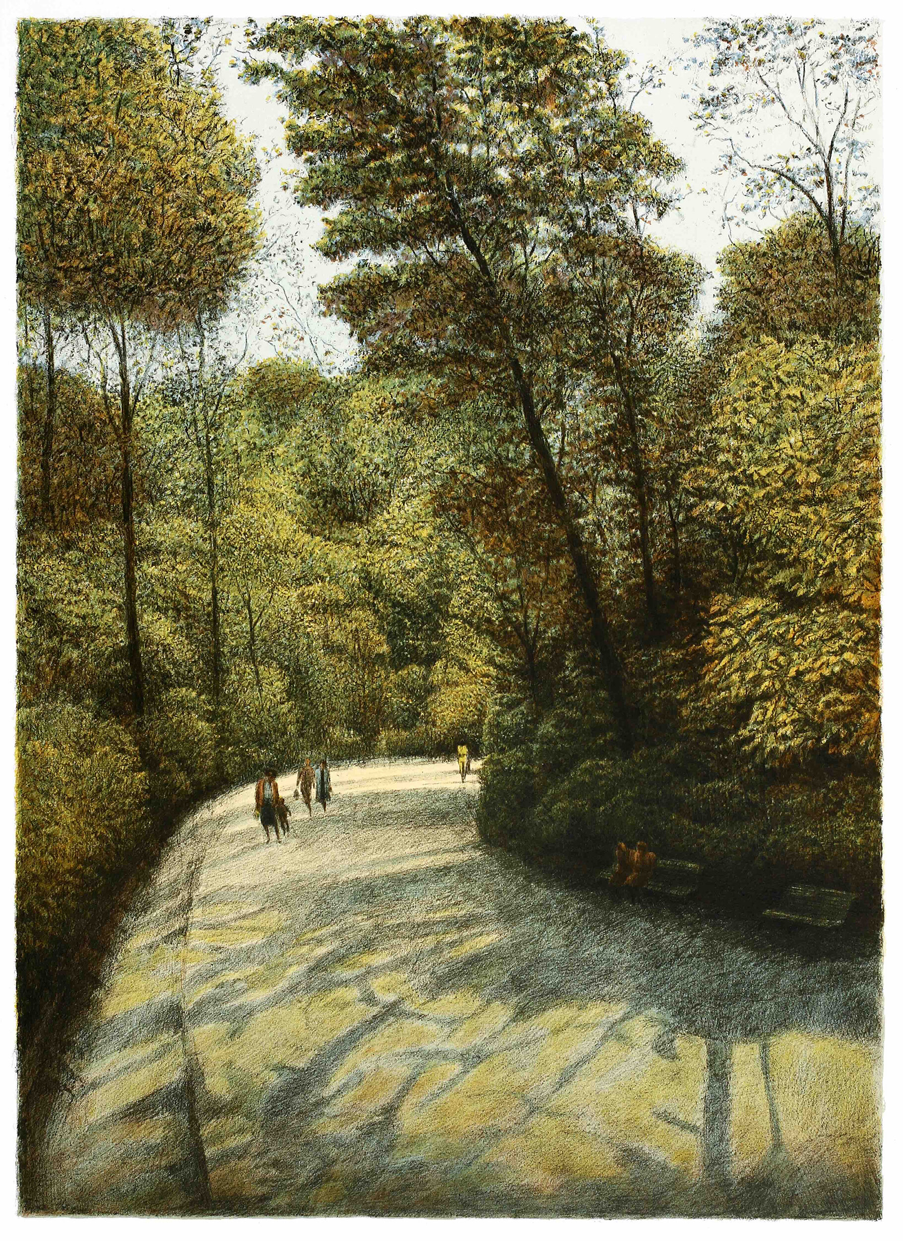 Afternoon Shadows 1983