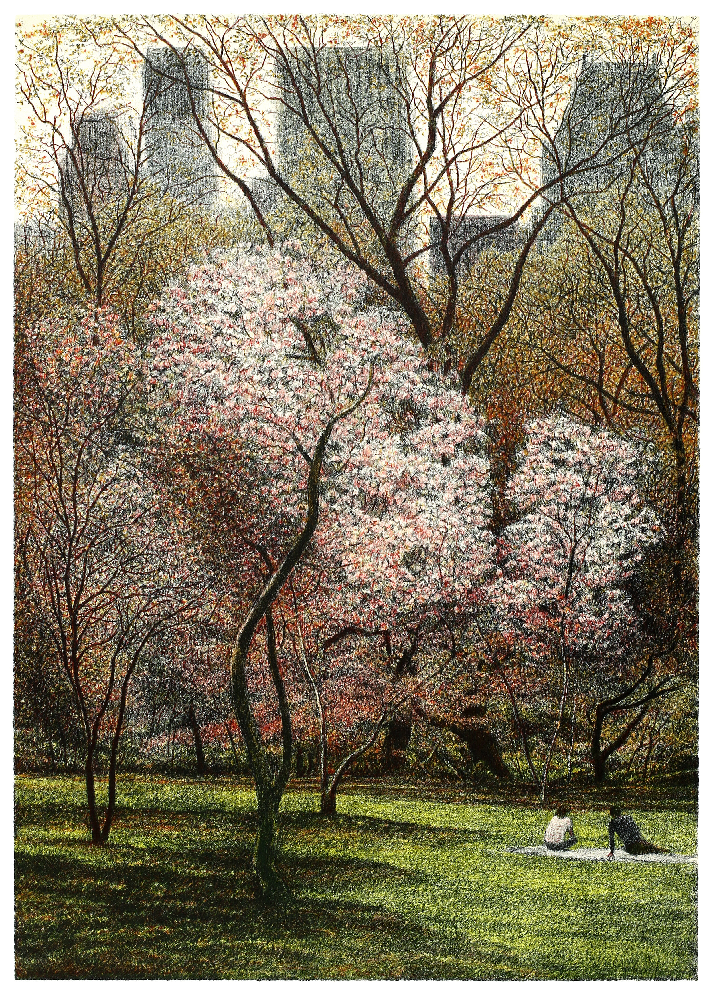 Spring Blossoms