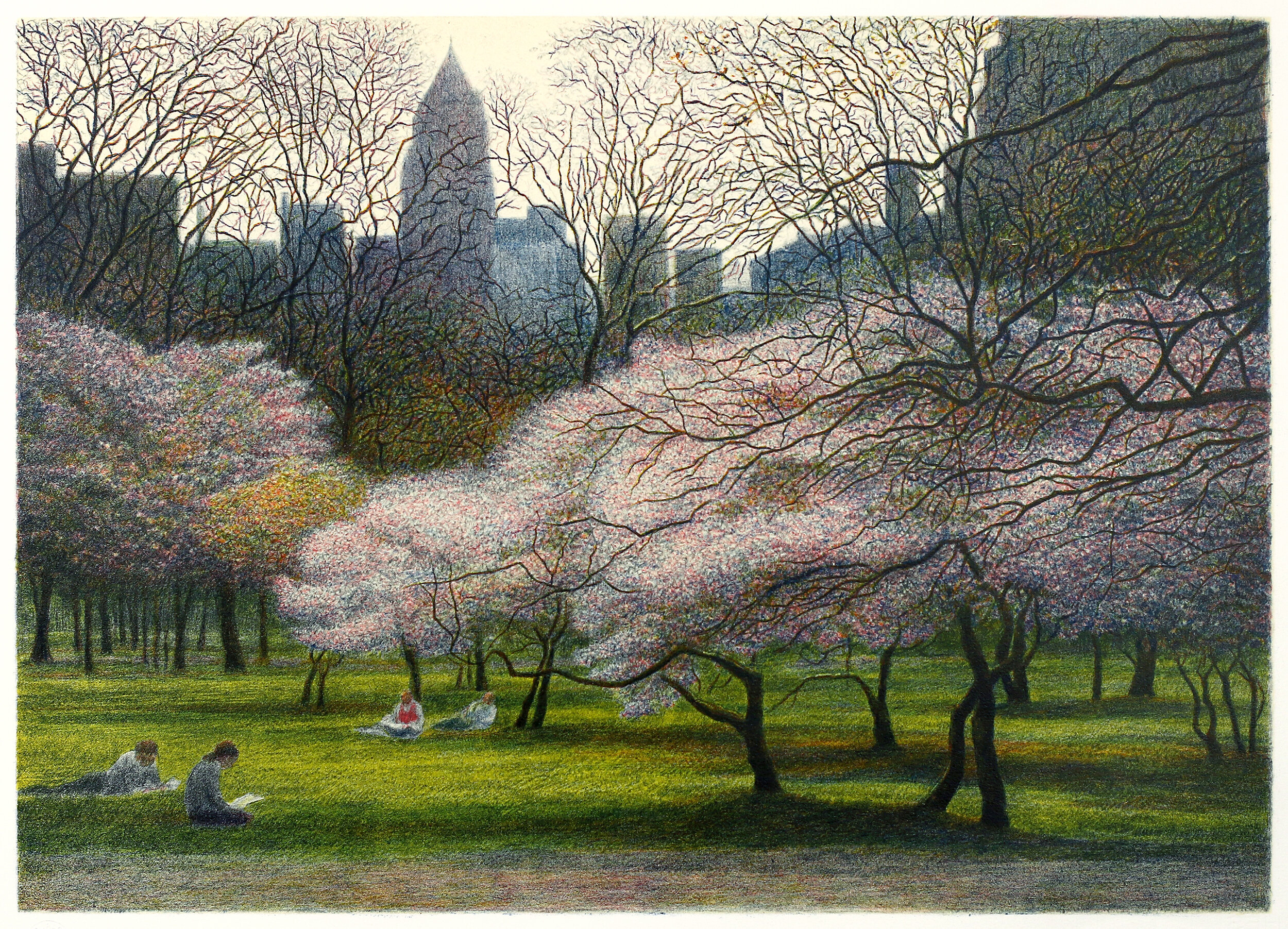 Blossoms and Buildings