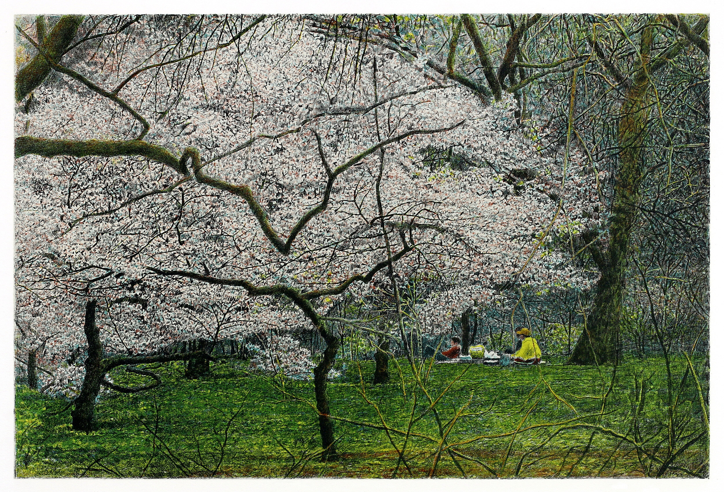 Picnic, Central Park