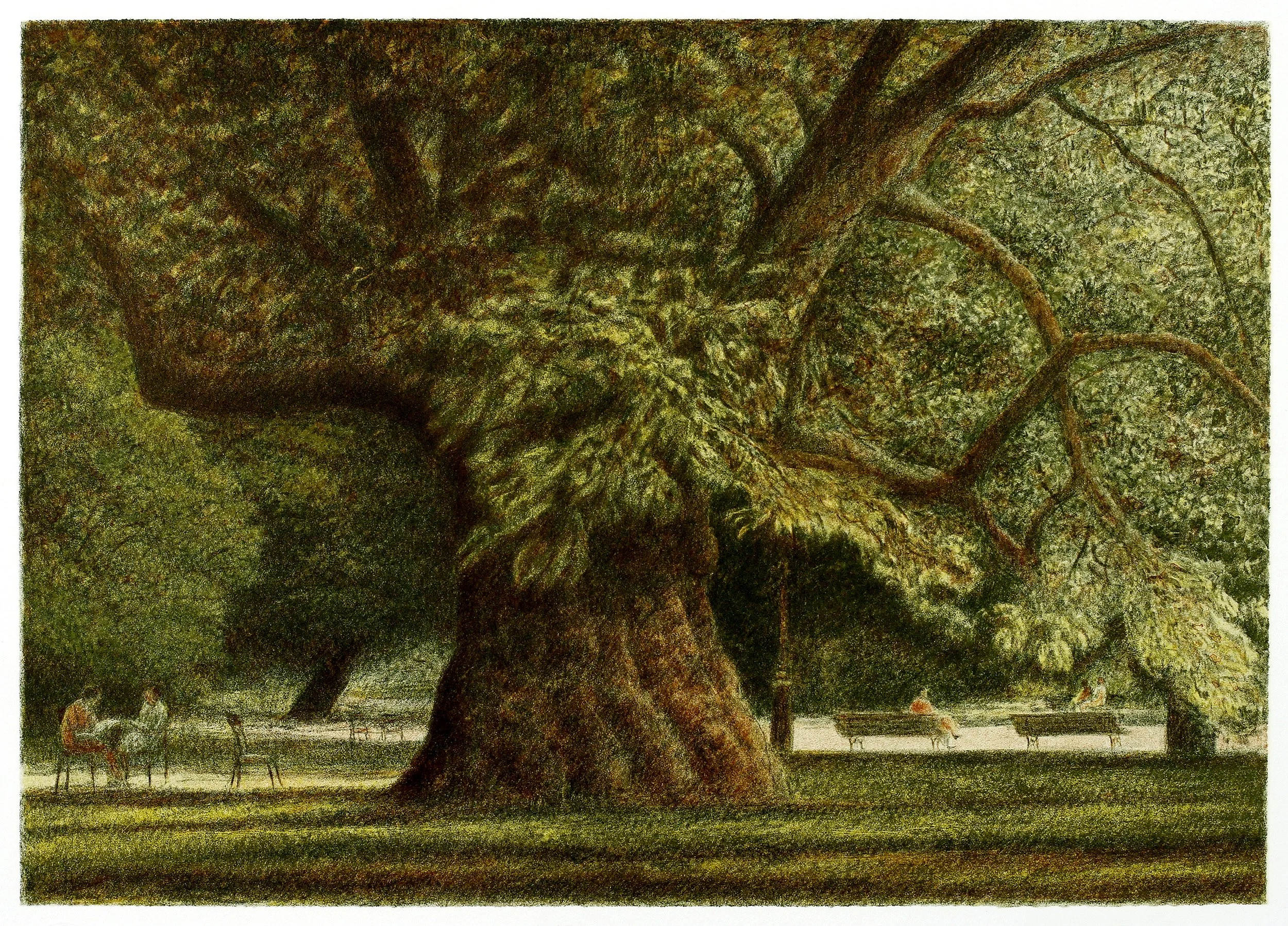 1331_Great_Tree_1997.jpg