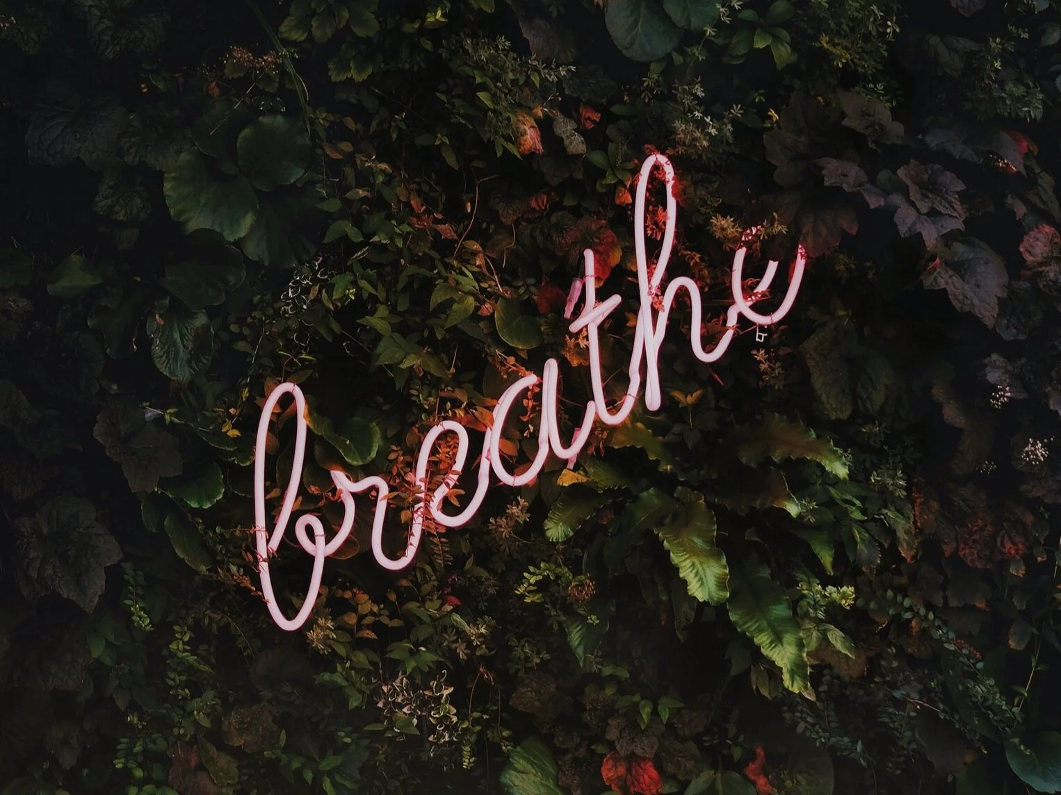 Day 6:  De-escalation for Parents and Caregivers