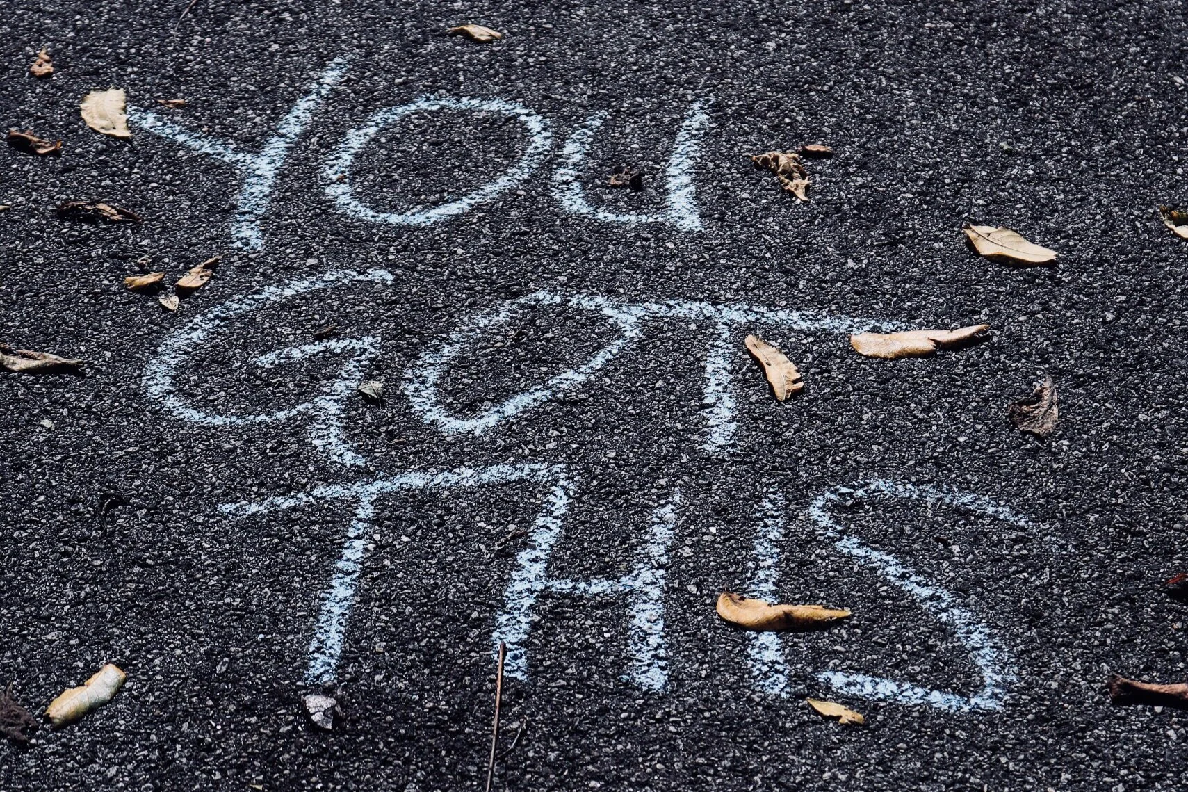 Day 11: The Stress of Regression