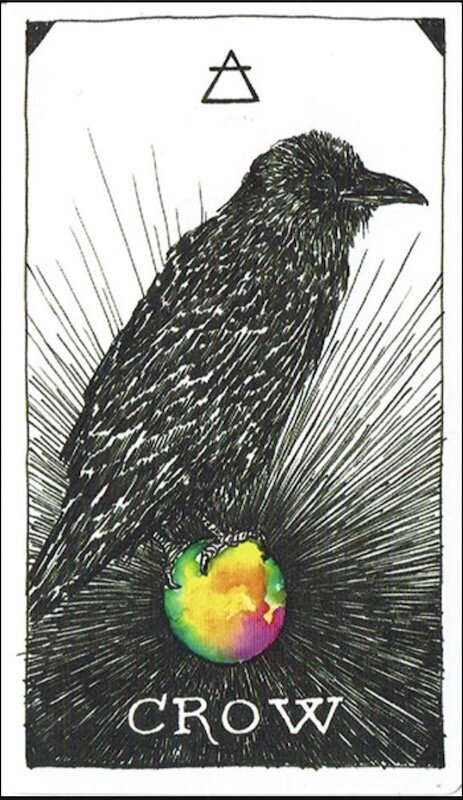 crow.small.jpg