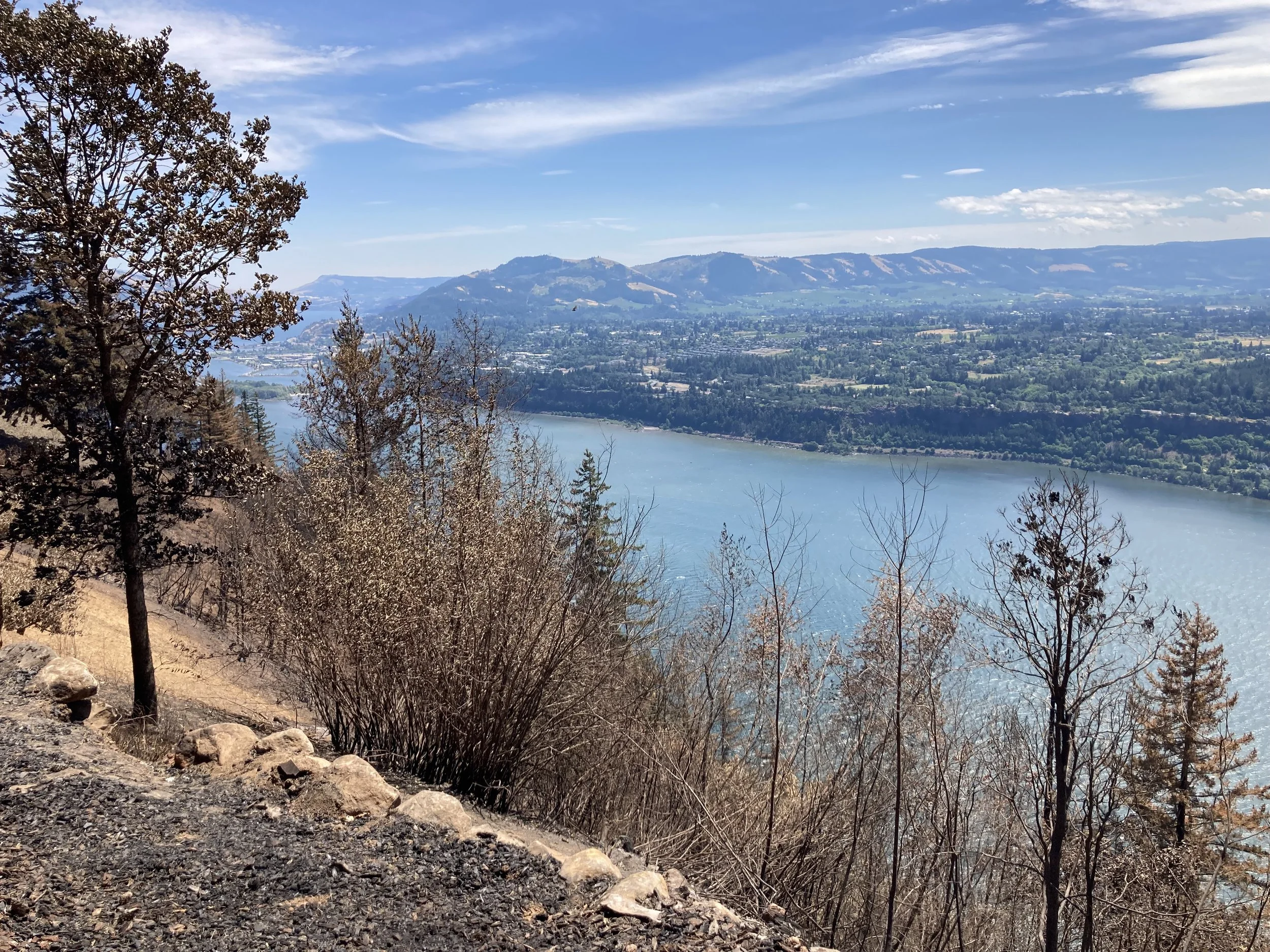 UCD Wildfire Resilience Program