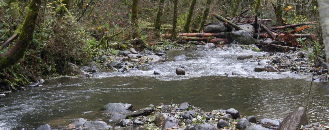 Little Wind River Habitat Enhancement Project