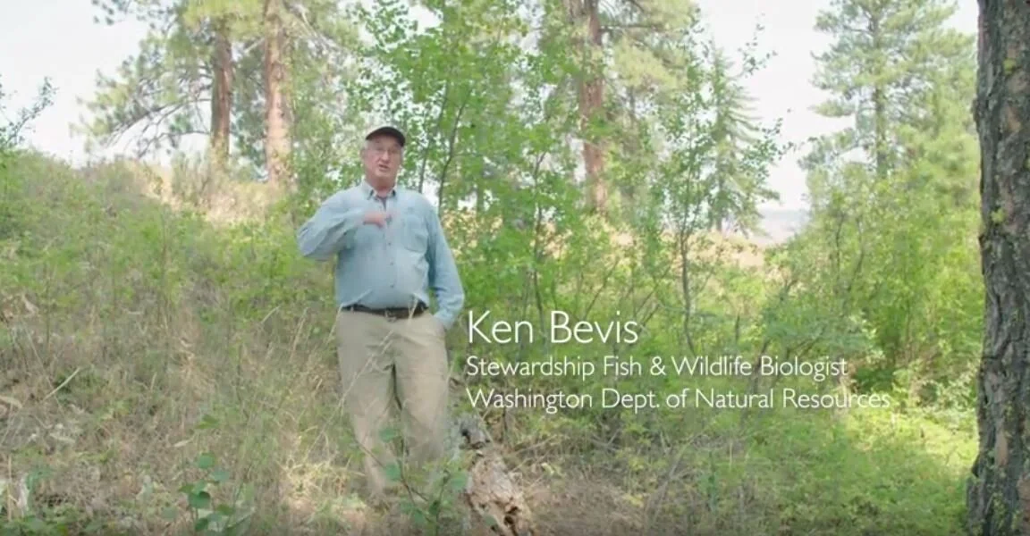 Wildlife and Wildfire Resilient Forests – A Ken Bevis Story