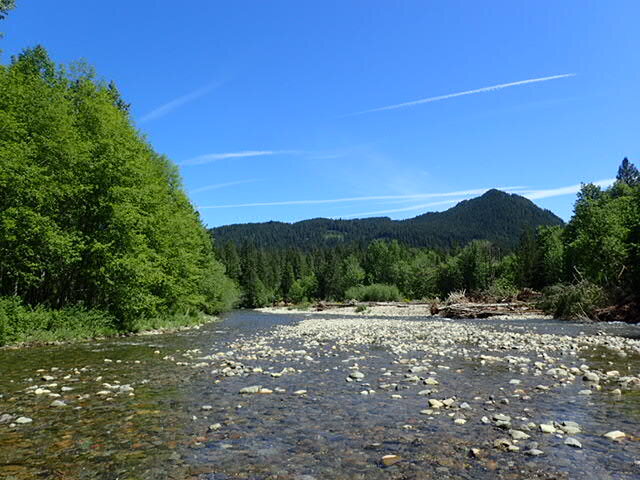 Wind River Watershed Project 